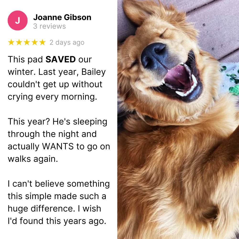 WarmWhiskers™ Self-Warming Pad