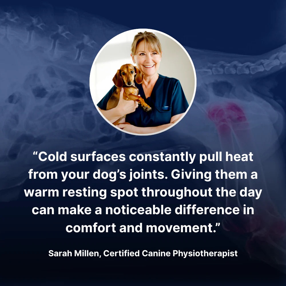 WarmWhiskers™ Self-Warming Pad